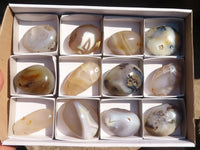 Polished Stunning Selection Of Agate Palm Stones x 12 From Madagascar