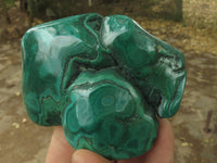 Polished Malachite Free Forms With Stunning Flower & Banding Patterns x 6 From Congo - TopRock