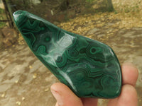 Polished Malachite Free Forms With Stunning Flower & Banding Patterns x 6 From Congo - TopRock