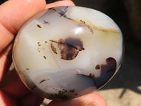 Polished Stunning Selection Of Agate Palm Stones x 12 From Madagascar