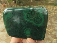 Polished Malachite Free Forms With Stunning Flower & Banding Patterns x 6 From Congo - TopRock