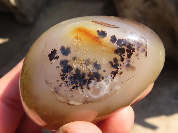 Polished Stunning Selection Of Agate Palm Stones x 12 From Madagascar