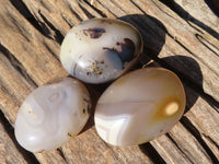 Polished Stunning Selection Of Agate Palm Stones x 12 From Madagascar