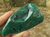 Polished Malachite Free Forms With Stunning Flower & Banding Patterns x 6 From Congo - TopRock