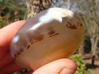 Polished Stunning Selection Of Agate Palm Stones x 12 From Madagascar