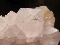 Natural White Spirit Quartz Clusters  x 2 From Boekenhouthoek, South Africa - Toprock Gemstones and Minerals 