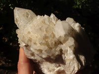 Natural Pineapple / Candle Quartz Clusters  x 2 From Madagascar