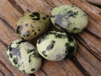 Polished Green Leopard Stone Gallets  x 12 From Zimbabwe - Toprock Gemstones and Minerals 