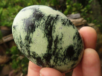 Polished Green Leopard Stone Gallets  x 12 From Zimbabwe - Toprock Gemstones and Minerals 