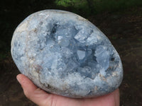 Polished Extra Large Blue Celestite Egg Geode  x 1 From Sakoany, Madagascar - TopRock