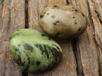 Polished Green Leopard Stone Gallets  x 12 From Zimbabwe - Toprock Gemstones and Minerals 