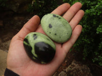 Polished Green Leopard Stone Gallets  x 12 From Zimbabwe - Toprock Gemstones and Minerals 