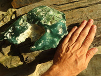 Polished Green Mtorolite / Chrome Chrysoprase Plate x 1 From Zimbabwe - Toprock Gemstones and Minerals 