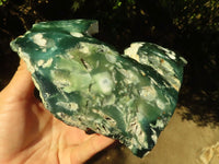 Polished Green Mtorolite / Chrome Chrysoprase Plate x 1 From Zimbabwe - Toprock Gemstones and Minerals 