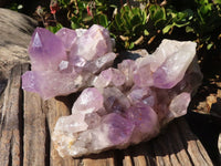 Natural Jacaranda Amethyst Clusters x 2 From Zambia