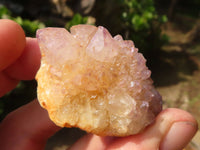 Natural Small Mixed Spirit Quartz Specimens  x 46 From Boekenhouthoek, South Africa - Toprock Gemstones and Minerals 