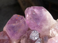 Natural Jacaranda Amethyst Clusters x 2 From Zambia