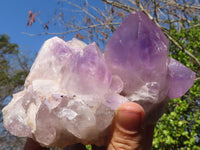 Natural Jacaranda Amethyst Clusters x 2 From Zambia