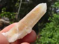 Natural Small Mixed Spirit Quartz Specimens  x 46 From Boekenhouthoek, South Africa - Toprock Gemstones and Minerals 