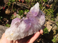 Natural Jacaranda Amethyst Clusters x 2 From Zambia