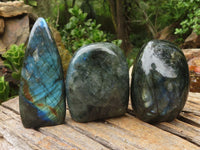 Polished Flashy Labradorite Standing Free Forms  x 3 From Tulear, Madagascar - Toprock Gemstones and Minerals 