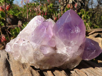 Natural Jacaranda Amethyst Clusters x 2 From Zambia