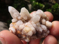 Natural Small Mixed Spirit Quartz Specimens  x 46 From Boekenhouthoek, South Africa - Toprock Gemstones and Minerals 