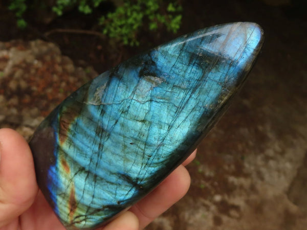 Polished Flashy Labradorite Standing Free Forms  x 3 From Tulear, Madagascar - Toprock Gemstones and Minerals 