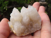 Natural Small Mixed Spirit Quartz Specimens  x 46 From Boekenhouthoek, South Africa - Toprock Gemstones and Minerals 