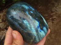 Polished Flashy Labradorite Standing Free Forms  x 3 From Tulear, Madagascar - Toprock Gemstones and Minerals 