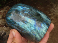 Polished Flashy Labradorite Standing Free Forms  x 3 From Tulear, Madagascar - Toprock Gemstones and Minerals 