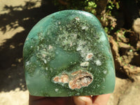 Polished Emerald Mtorolite / Chrome Chrysoprase Plates  x 3 From Zimbabwe - TopRock