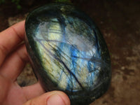 Polished Flashy Labradorite Standing Free Forms  x 3 From Tulear, Madagascar - Toprock Gemstones and Minerals 