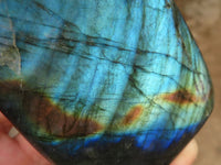 Polished Flashy Labradorite Standing Free Forms  x 3 From Tulear, Madagascar - Toprock Gemstones and Minerals 