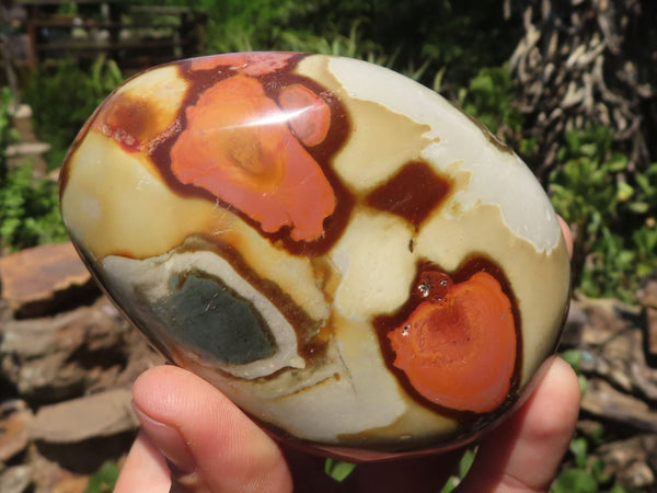 Polished Polychrome / Picasso Jasper Domes  x 6 From Madagascar - TopRock