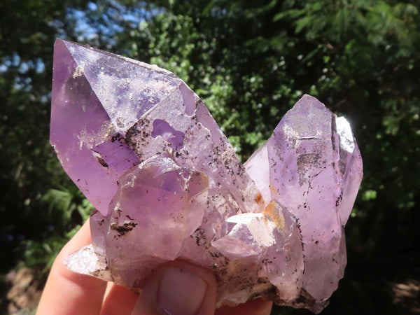 Natural Jacaranda Amethyst Clusters  x 6 From Zambia - TopRock