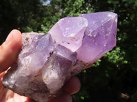 Natural Jacaranda Amethyst Clusters  x 6 From Zambia - TopRock