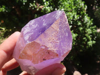 Natural Jacaranda Amethyst Clusters  x 6 From Zambia - TopRock