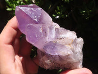 Natural Jacaranda Amethyst Clusters  x 6 From Zambia - TopRock