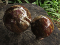 Polished Petrified Red Podocarpus Wood Spheres With Custom Palisandre Rosewood Stands x 2 From Mahajanga, Madagascar - TopRock