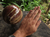 Polished Petrified Red Podocarpus Wood Spheres With Custom Palisandre Rosewood Stands x 2 From Mahajanga, Madagascar - TopRock