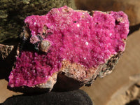 Natural Salrose Cobaltion Dolomite Specimens x 12 From Kakanda, Congo