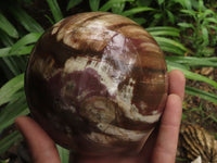 Polished Petrified Red Podocarpus Wood Spheres With Custom Palisandre Rosewood Stands x 2 From Mahajanga, Madagascar - TopRock