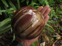 Polished Petrified Red Podocarpus Wood Spheres With Custom Palisandre Rosewood Stands x 2 From Mahajanga, Madagascar - TopRock