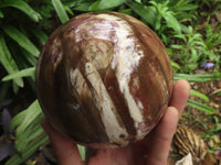 Polished Petrified Red Podocarpus Wood Spheres With Custom Palisandre Rosewood Stands x 2 From Mahajanga, Madagascar - TopRock