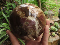 Polished Petrified Red Podocarpus Wood Spheres With Custom Palisandre Rosewood Stands x 2 From Mahajanga, Madagascar - TopRock