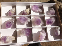 Natural Single Jacaranda Amethyst Crystals  x 12 From Mumbwe, Zambia - Toprock Gemstones and Minerals 