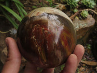 Polished Petrified Red Podocarpus Wood Spheres With Custom Palisandre Rosewood Stands x 2 From Mahajanga, Madagascar - TopRock