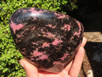 Polished Pink & Black Rhodonite Standing Free Form x 1 From Madagascar