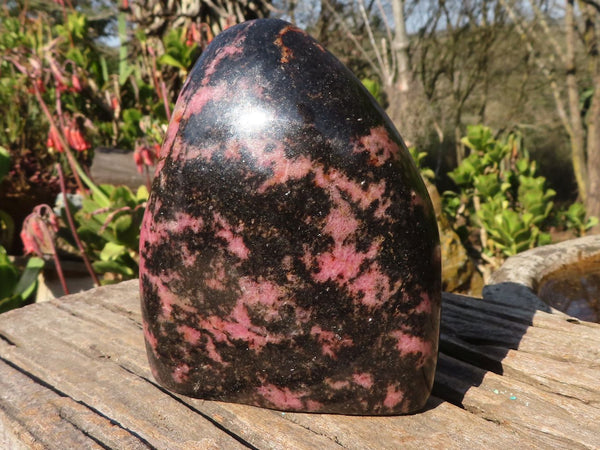 Polished Pink & Black Rhodonite Standing Free Form x 1 From Madagascar